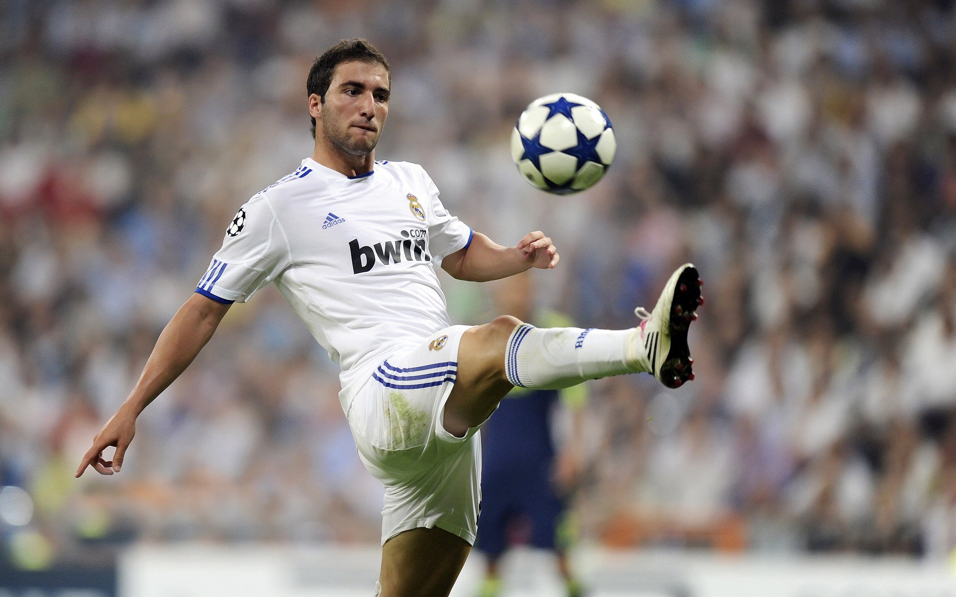 中国足球青训成果展示活动举办,中国足球青训发展