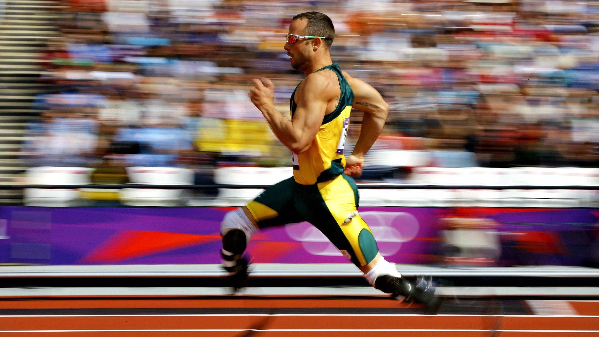 “萨尔·巴赫与南非羚羊队：一个不可忽视的联盟”